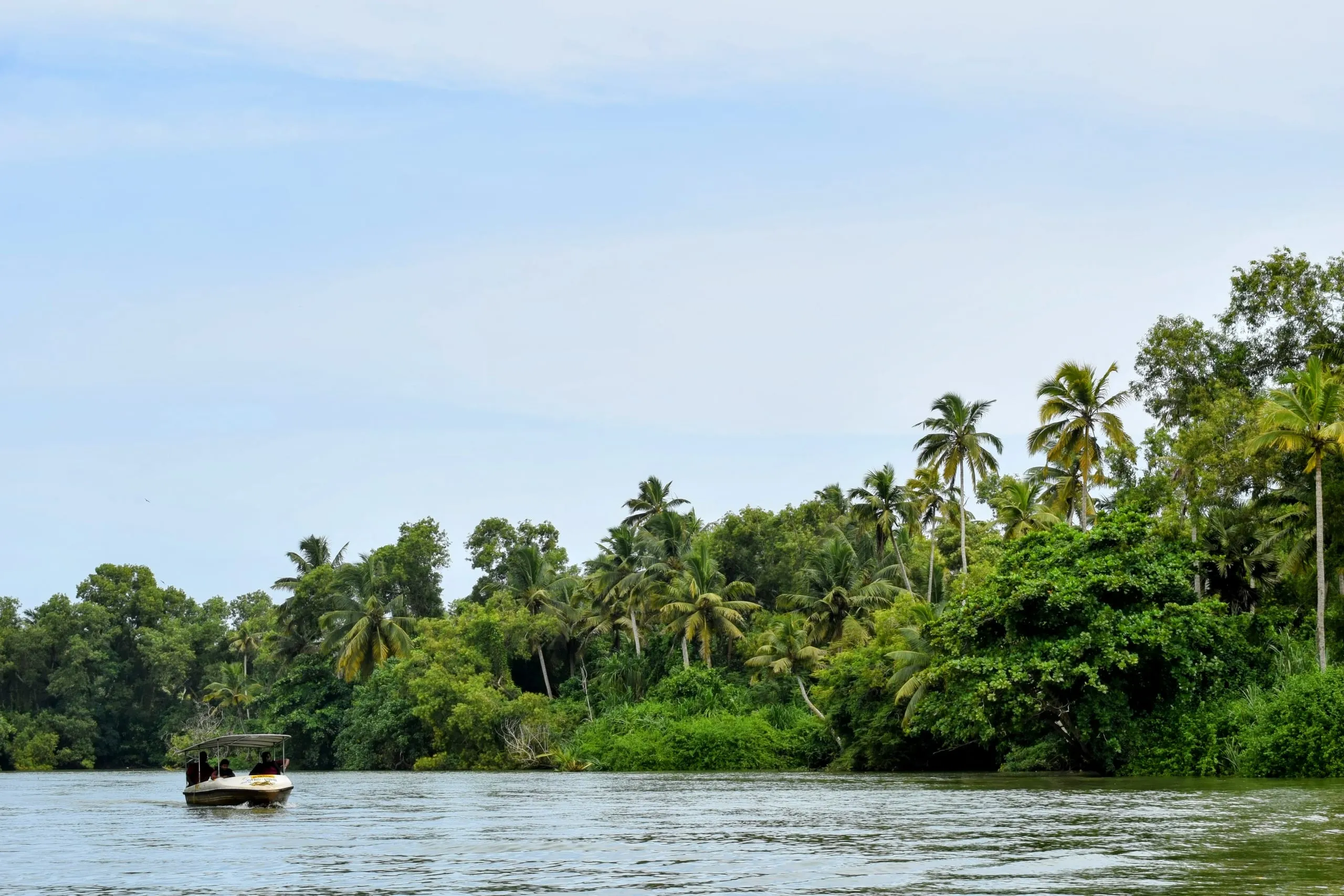 A small boat on a wide river lined with palm trees