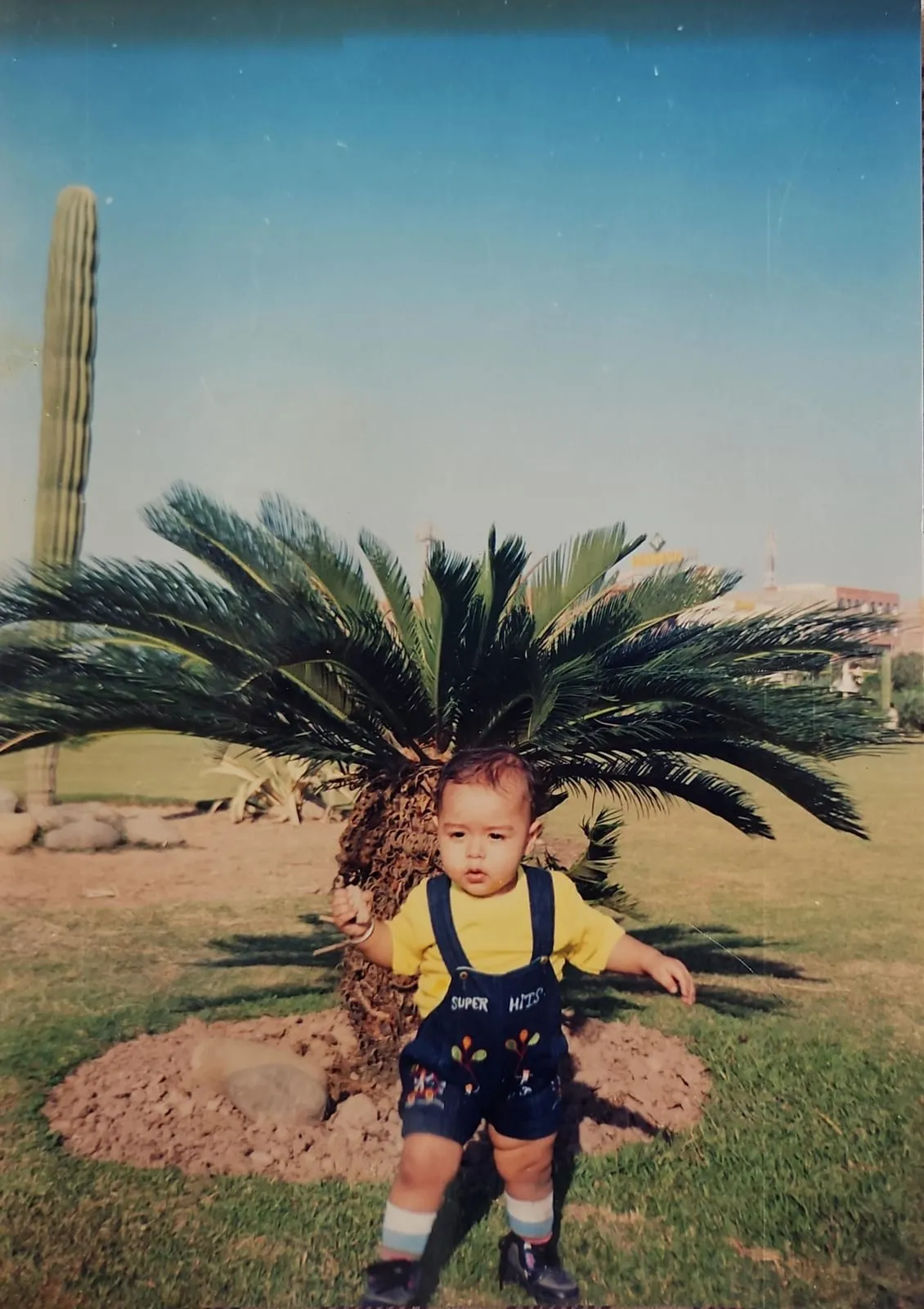 Abhinav as a toddler in blue dungarees, standing in front of a palm tree and a cactus